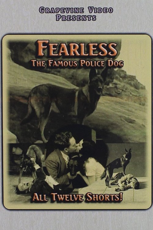 Doc's Dog (1927) poster