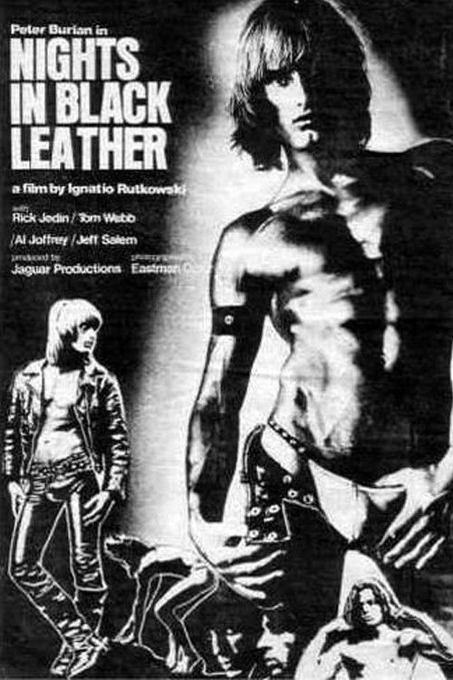 Nights in Black Leather (1973) poster