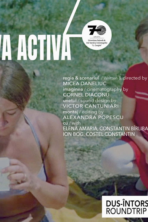 Dus-întors (1971) poster