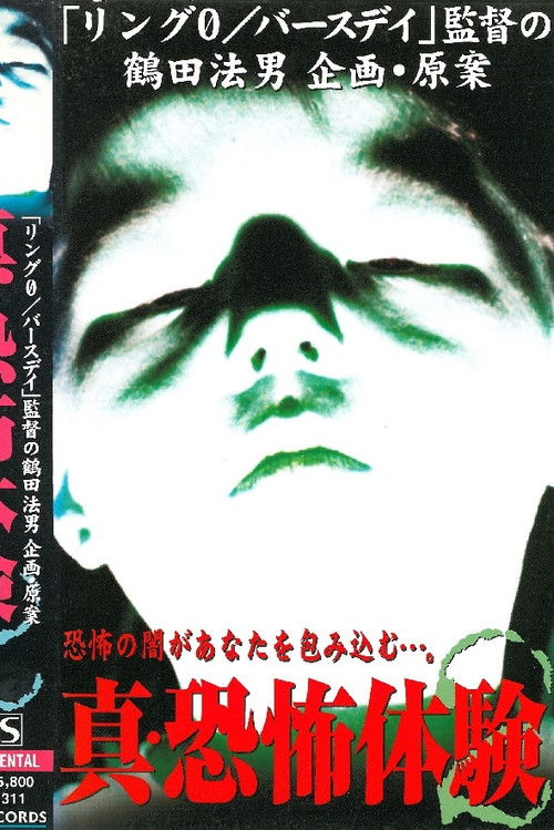 True Horror Experience 2 (2000) poster