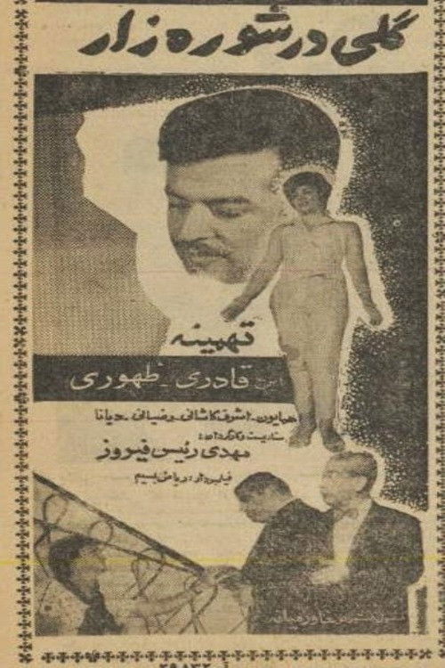 گلی در شوره‌زار (1961) poster