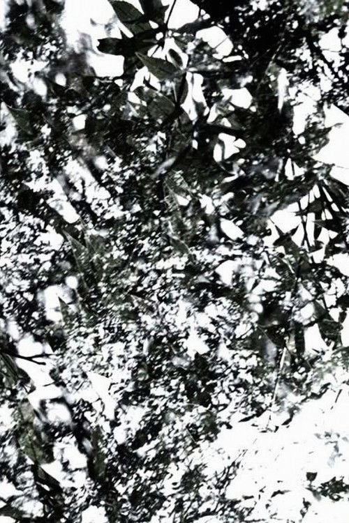 The Seasons (2008) poster