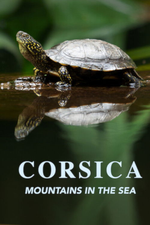 Corsica: Mountains in the Sea (2019) poster
