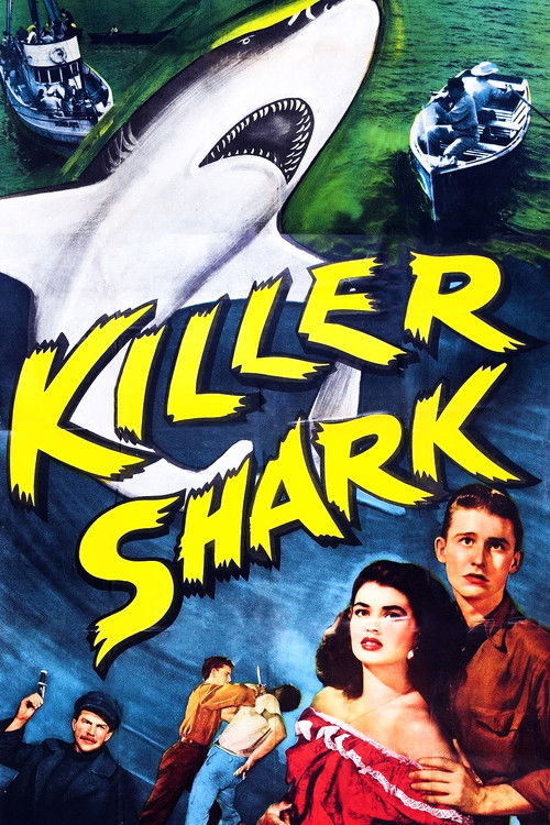 Killer Shark (1950) poster