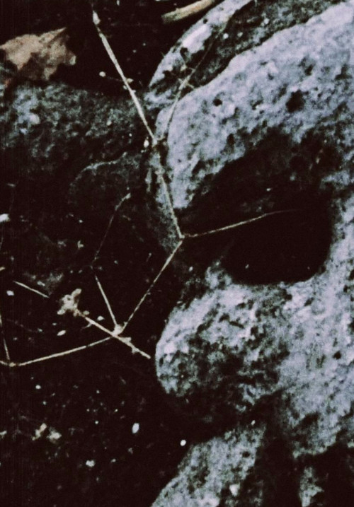 The Death Valley Is Good (2008) poster