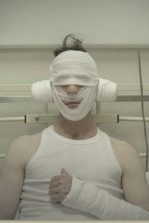 Mr Foley (2009) poster