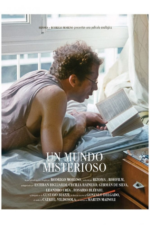 Un mundo misterioso (2011) poster
