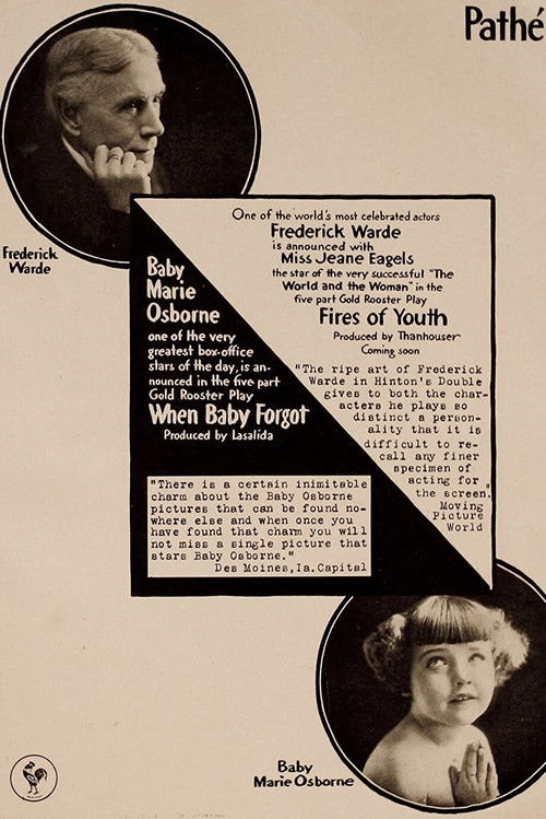 The Fires of Youth (1917) poster