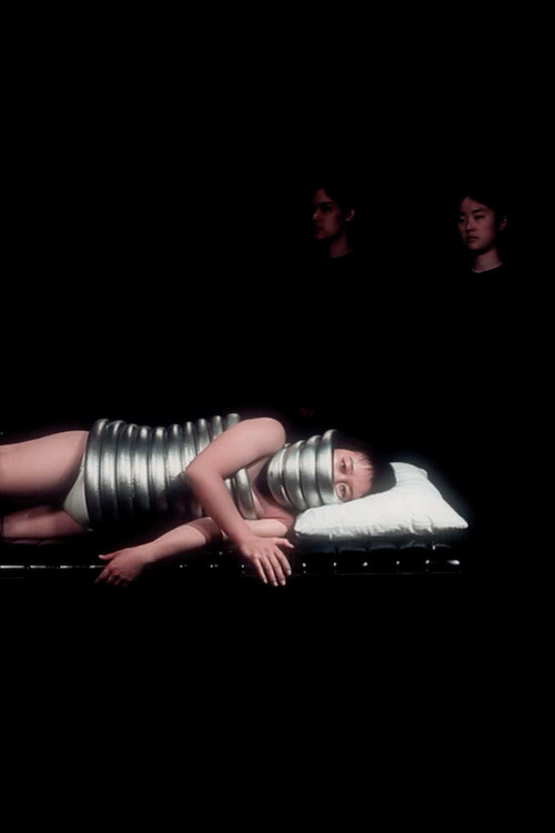 The Machinist's Lament (2014) poster