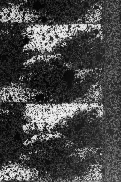 Signal (1970) poster