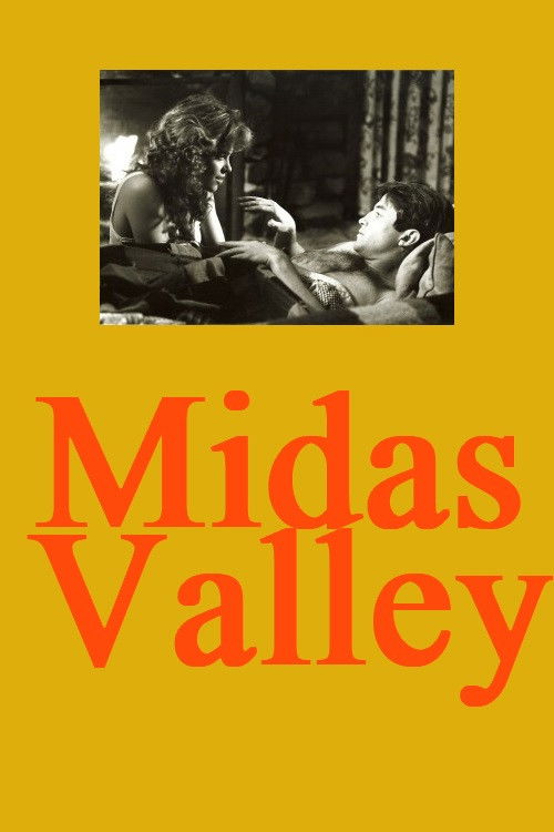 Midas Valley (1985) poster