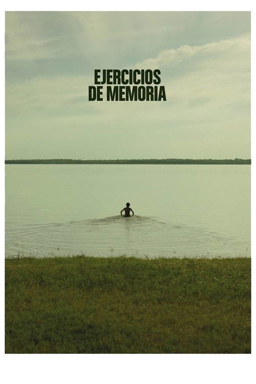 Ejercicios de Memoria (2016) poster