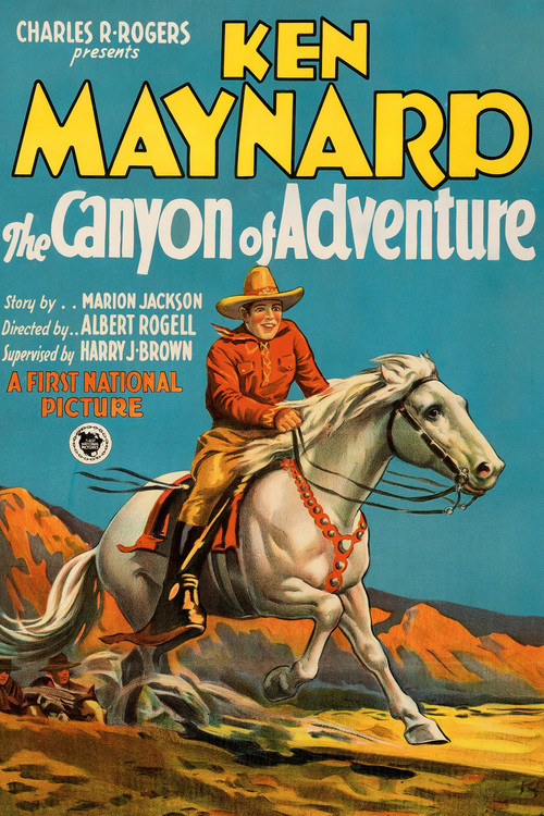 The Canyon of Adventure (1928) poster