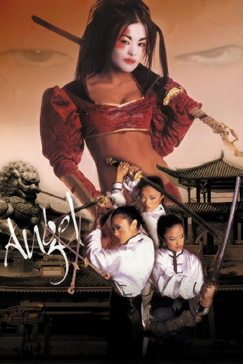 Angel X (2003) poster