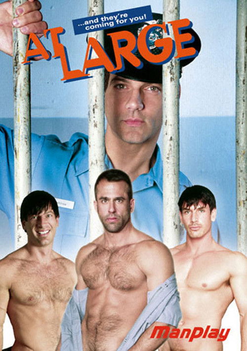 At Large (2001) poster