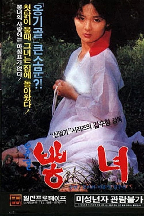 옹기골 뽕녀 (1987) poster