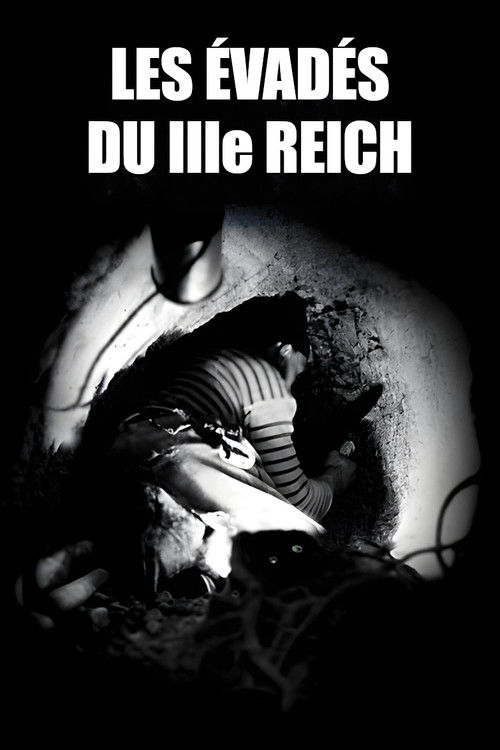 Les Évadés du troisième Reich (2015) poster