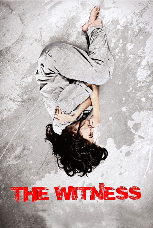 The Witness (2012) poster