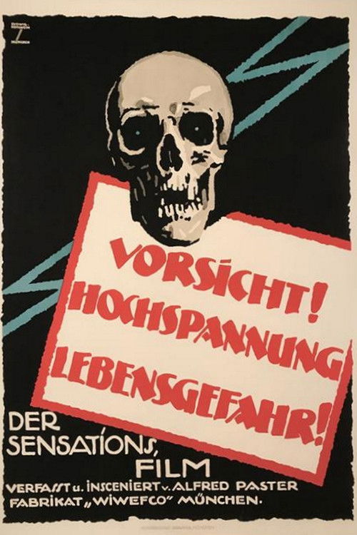Die Flammenfahrt des Pacific-Express (1921) poster