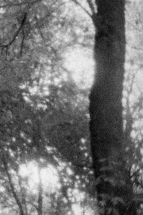 Untitled 1 (2008) poster