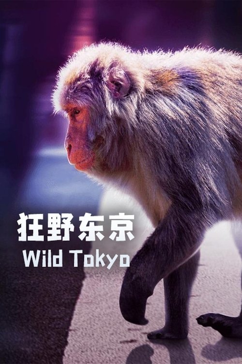 Wild Tokyo (2021) poster