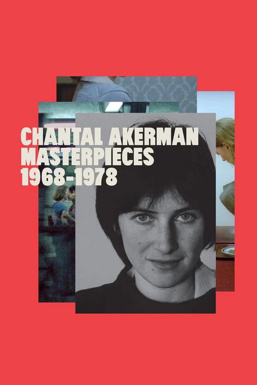 A New Way of Seeing: B. Ruby Rich on Chantal Akerman (2024) poster
