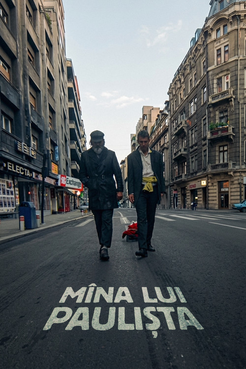 Mîna lui Paulișta (1998) poster