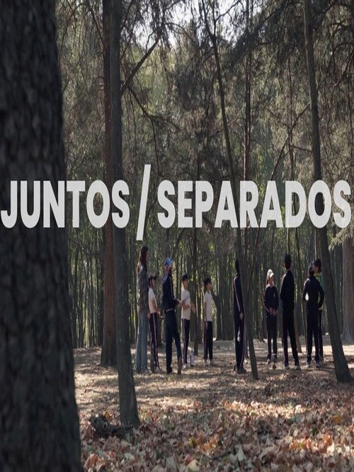 Together / Apart (2025) poster