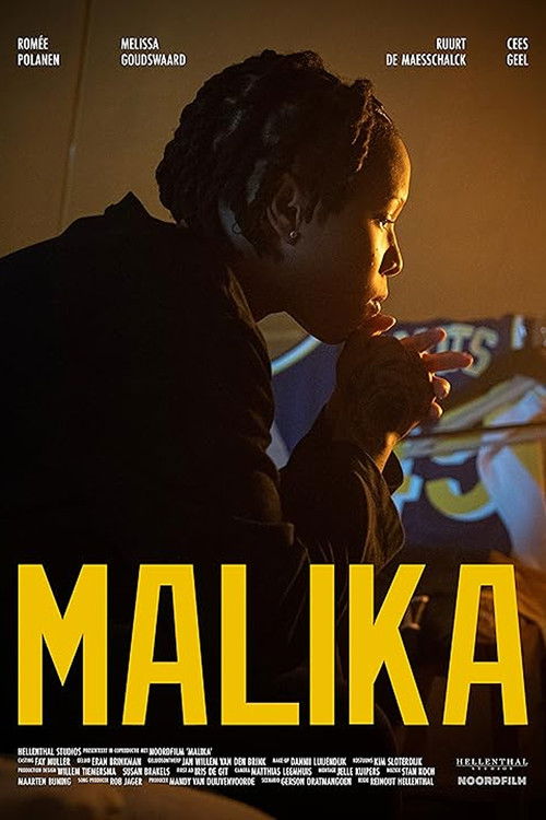 Mally Can Fly (2023) poster