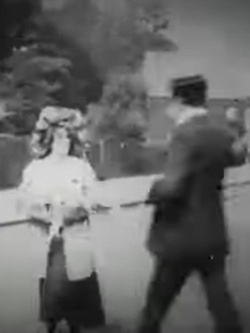 Lost, Stolen or Strayed (1905) poster