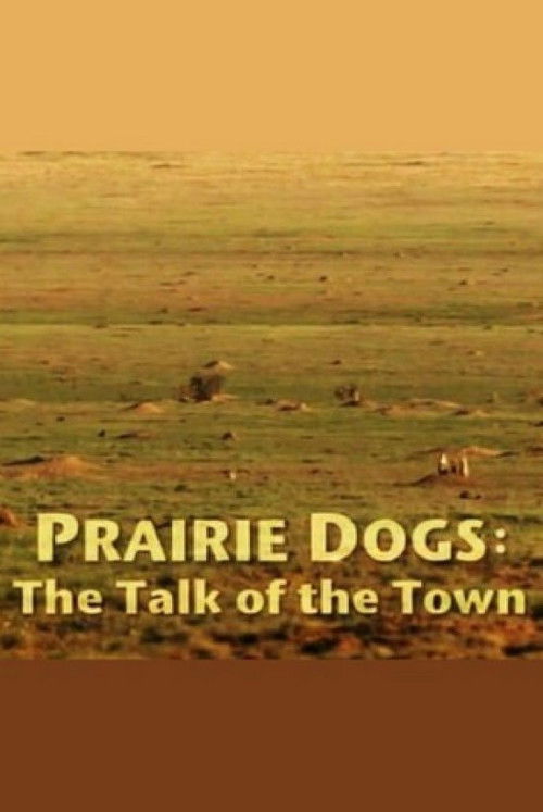 Prairie Dogs: Talk of the Town (2010) poster