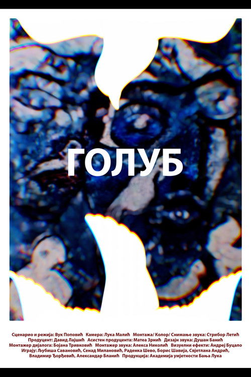 A Pigeon (2025) poster