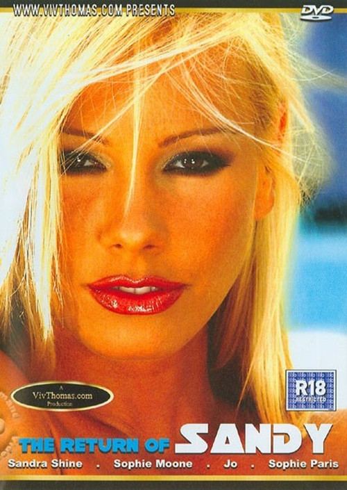 The Return of Sandy (2004) poster