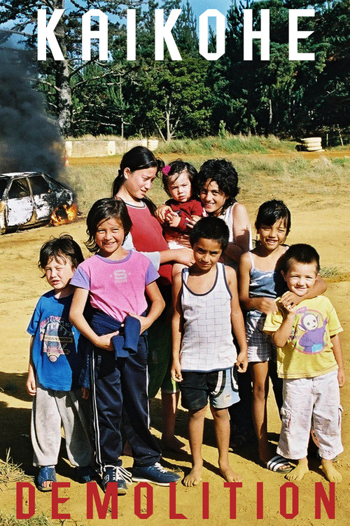 Kaikohe Demolition (2004) poster