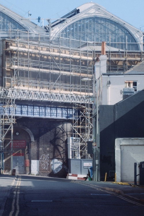 A Spring in Endless Bloom (2020) poster