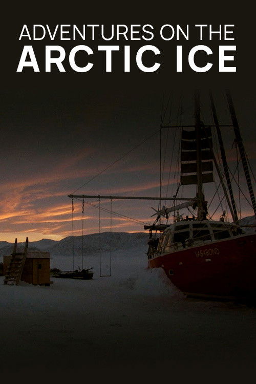 Adventures on the Arctic Ice (2016) poster