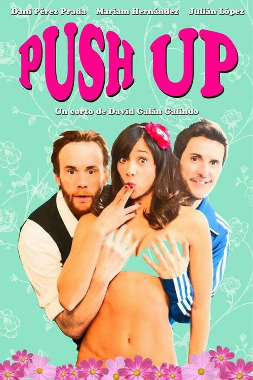 Push Up (2013) poster