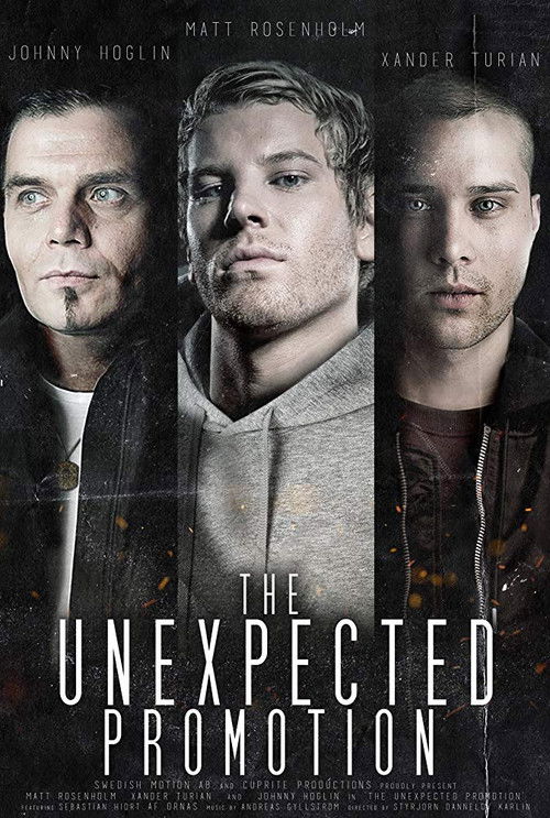 The Unexpected Promotion (2017) poster