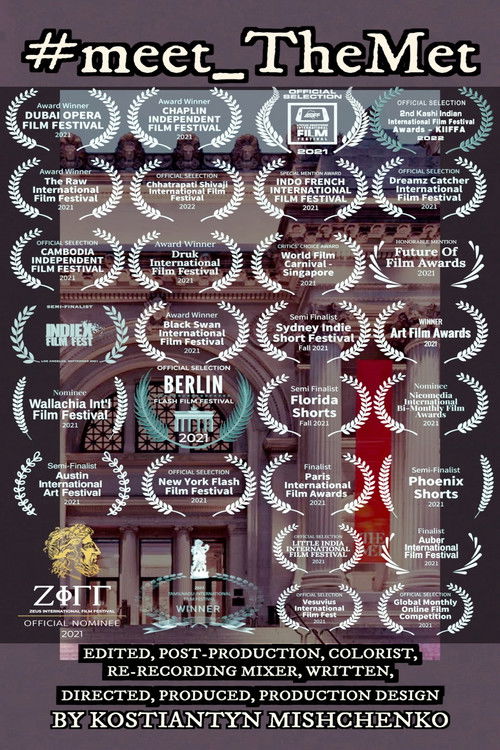 #meet_TheMet (2021) poster
