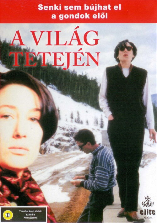 Top of the World (1993) poster