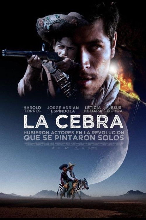 The Zebra (2011) poster