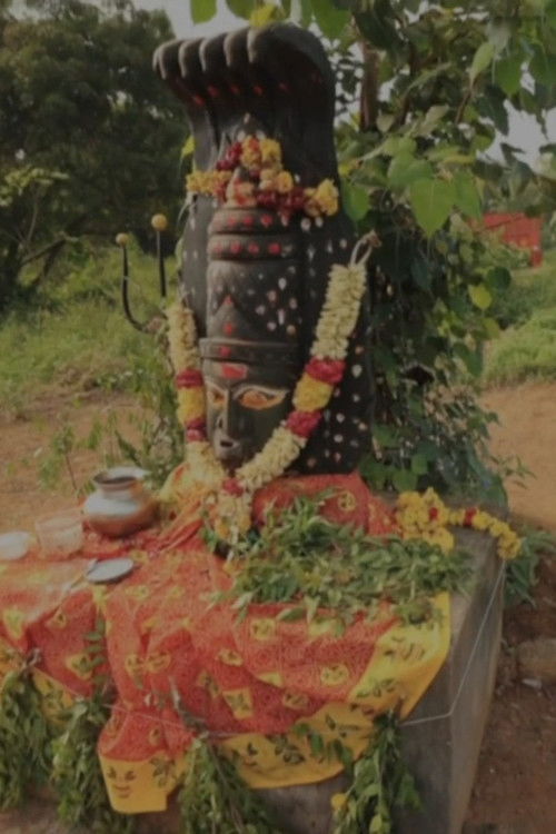 Inde du Sud, le charme Tamoul (2023) poster