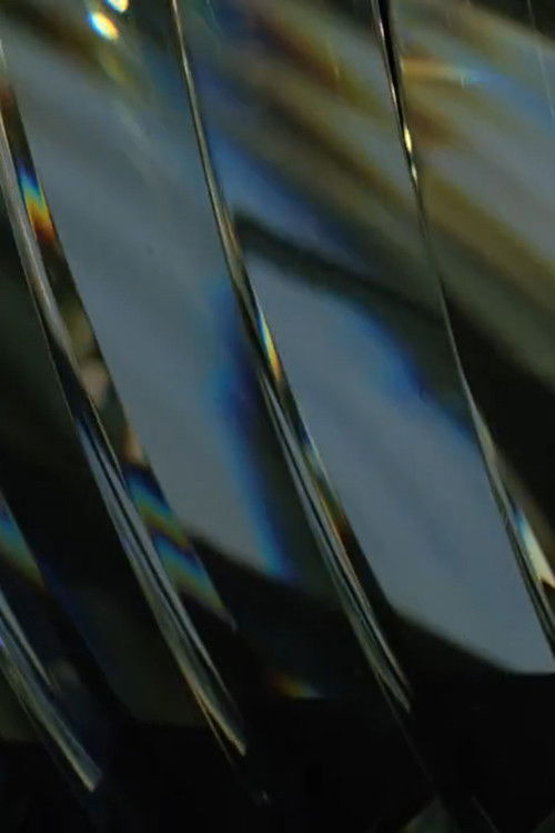 Navigator (2015) poster