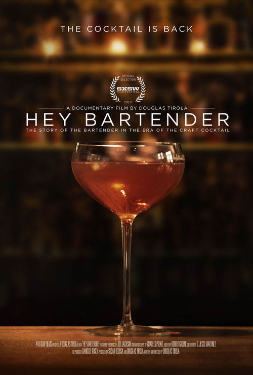Hey Bartender (2013) poster