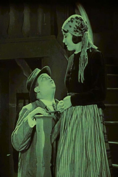 The Girl from Spree Woods (1928) poster