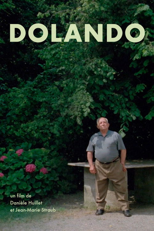 Dolando (2002) poster