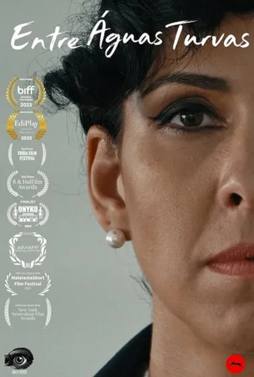 Entre Águas Turvas (2023) poster