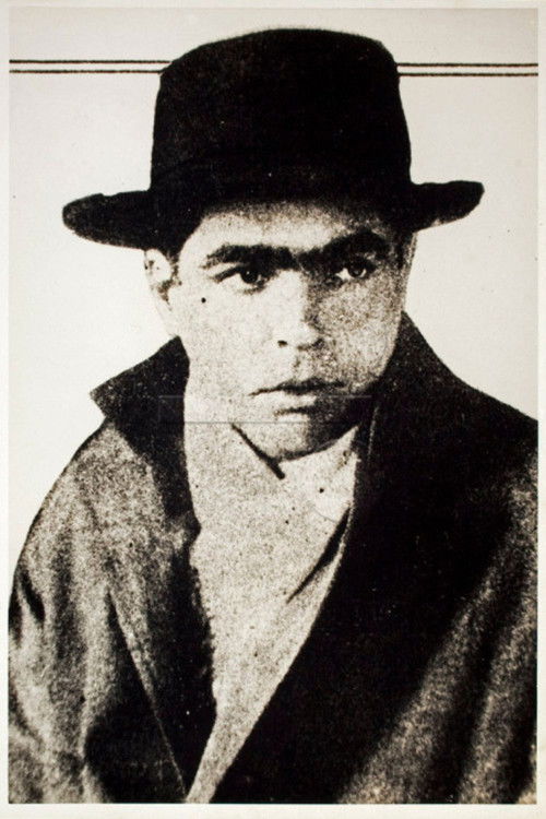 Valadião, o Cratera (1925) poster