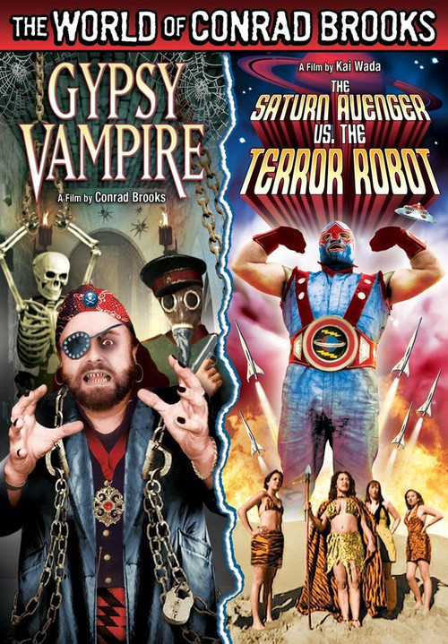 The Saturn Avenger vs. the Terror Robot (1996) poster