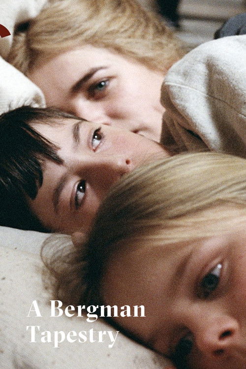 Fanny & Alexander: A Bergman Tapestry (2004) poster